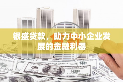 成华银盛贷款，助力中小企业发展的金融利器