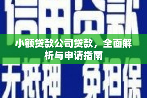 成华小额贷款公司贷款，全面解析与申请指南