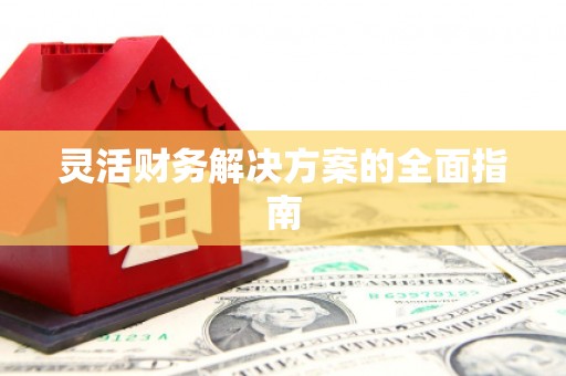 成华灵活财务解决方案的全面指南