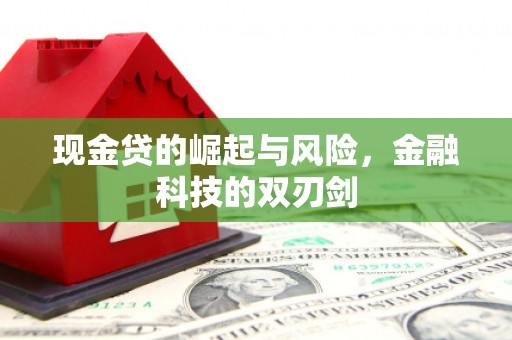 成华现金贷的崛起与风险，金融科技的双刃剑