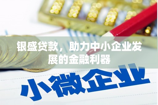 成华银盛贷款，助力中小企业发展的金融利器