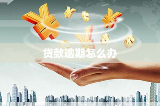 成华贷款逾期怎么办