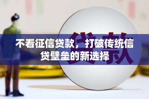 成华不看征信贷款，打破传统信贷壁垒的新选择