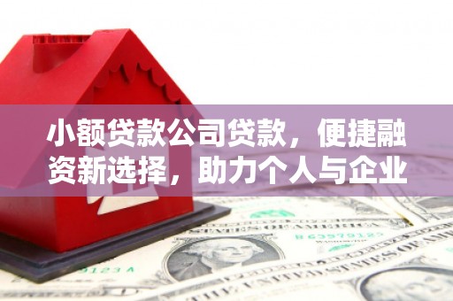 成华小额贷款公司贷款，便捷融资新选择，助力个人与企业成长