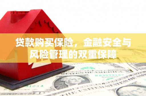 成华贷款购买保险，金融安全与风险管理的双重保障