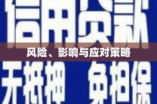 成华风险、影响与应对策略