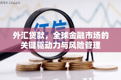 成华外汇贷款，全球金融市场的关键驱动力与风险管理
