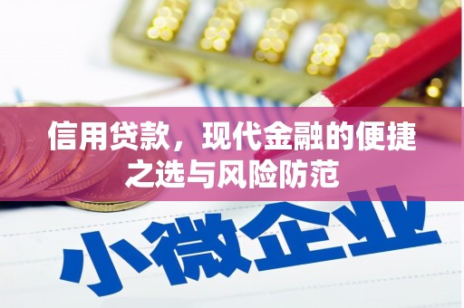 成华信用贷款，现代金融的便捷之选与风险防范