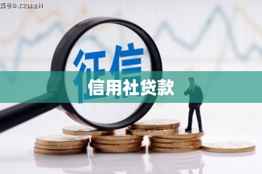 成华信用社贷款