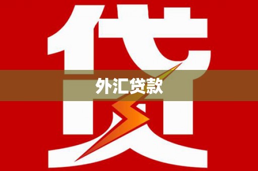 成华外汇贷款