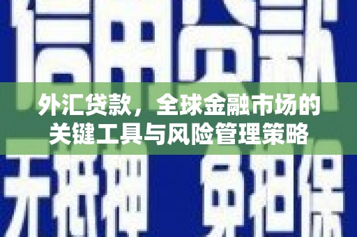 成华外汇贷款，全球金融市场的关键工具与风险管理策略