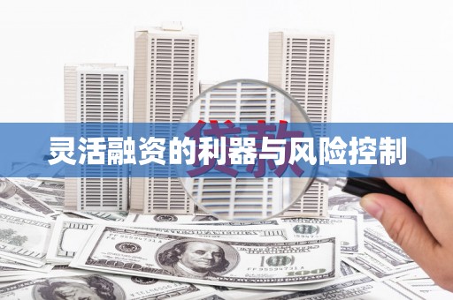 成华灵活融资的利器与风险控制