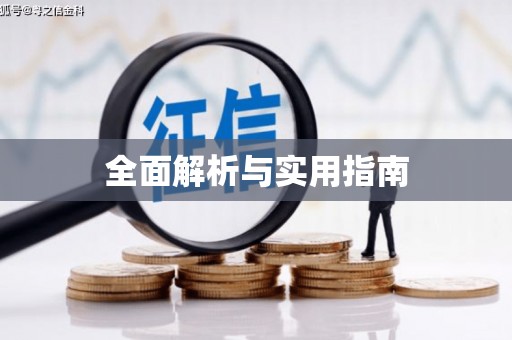 成华全面解析与实用指南