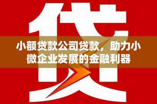成华小额贷款公司贷款，助力小微企业发展的金融利器