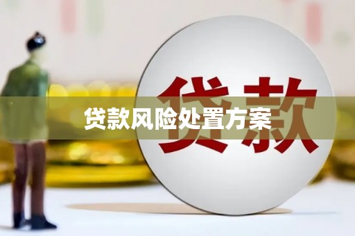 成华贷款风险处置方案