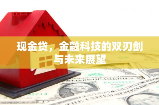 成华现金贷，金融科技的双刃剑与未来展望