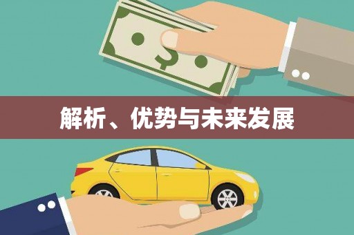 成华解析、优势与未来发展