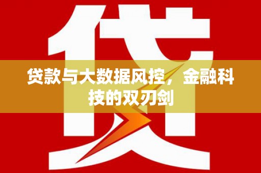 成华贷款与大数据风控，金融科技的双刃剑
