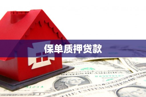 成华保单质押贷款