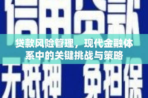 成华贷款风险管理，现代金融体系中的关键挑战与策略