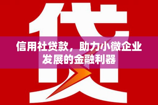成华信用社贷款，助力小微企业发展的金融利器