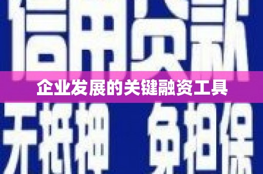 成华企业发展的关键融资工具