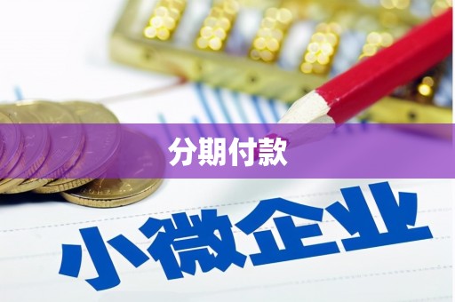 成华分期付款