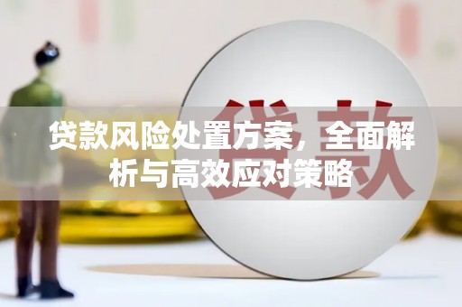 成华贷款风险处置方案，全面解析与高效应对策略