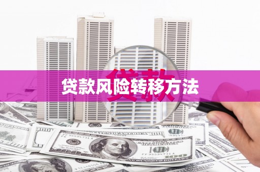 成华贷款风险转移方法