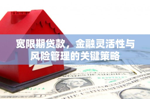 成华宽限期贷款，金融灵活性与风险管理的关键策略