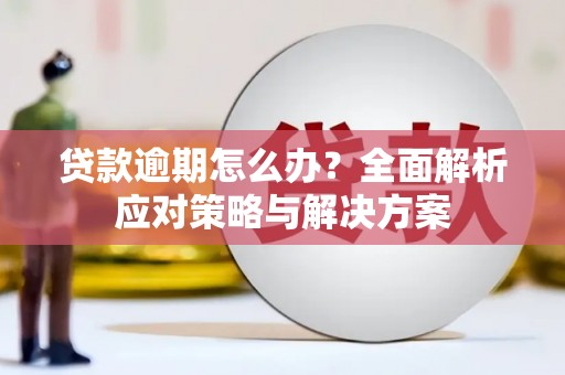 成华贷款逾期怎么办？全面解析应对策略与解决方案