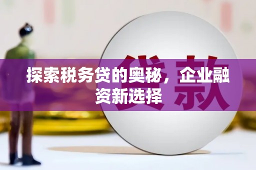 成华探索税务贷的奥秘，企业融资新选择