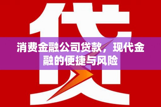 成华消费金融公司贷款，现代金融的便捷与风险