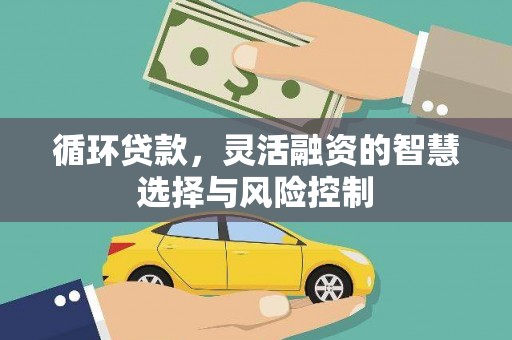 成华循环贷款，灵活融资的智慧选择与风险控制