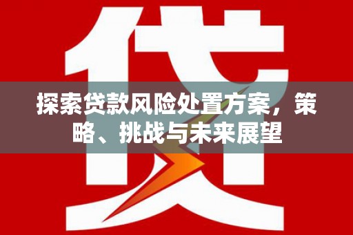 成华探索贷款风险处置方案，策略、挑战与未来展望