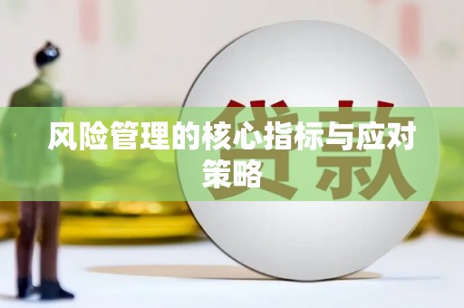 成华风险管理的核心指标与应对策略