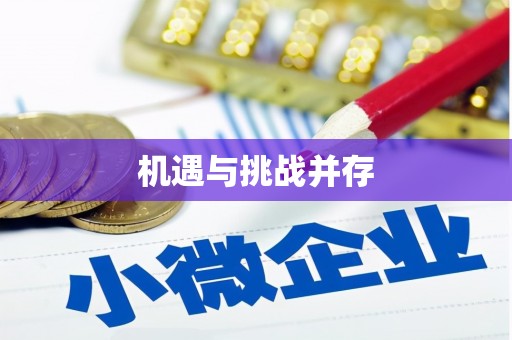 成华机遇与挑战并存