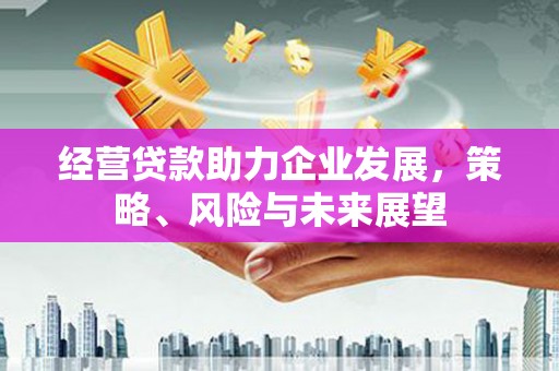 成华经营贷款助力企业发展，策略、风险与未来展望