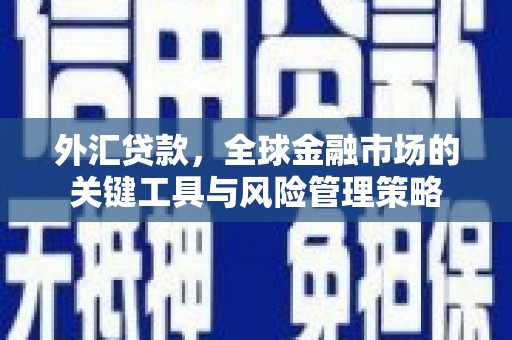 成华外汇贷款，全球金融市场的关键工具与风险管理策略