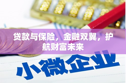 成华贷款与保险，金融双翼，护航财富未来