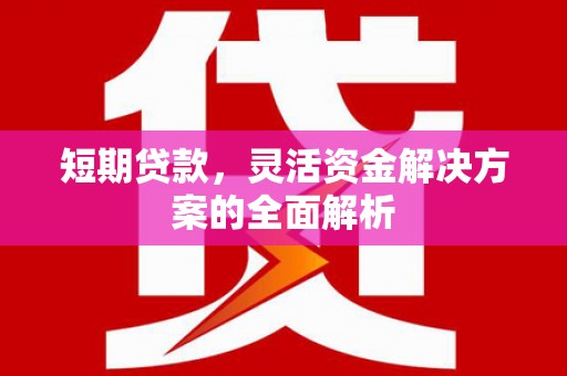 成华短期贷款，灵活资金解决方案的全面解析