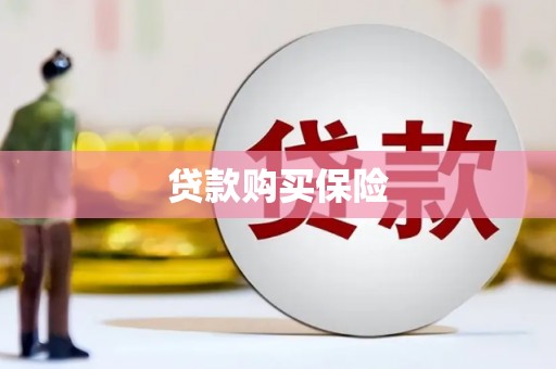成华贷款购买保险