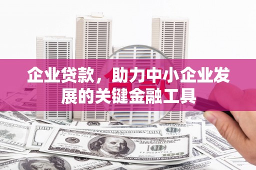 成华企业贷款，助力中小企业发展的关键金融工具