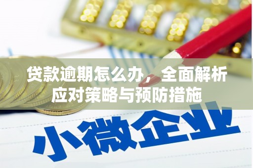 成华贷款逾期怎么办，全面解析应对策略与预防措施