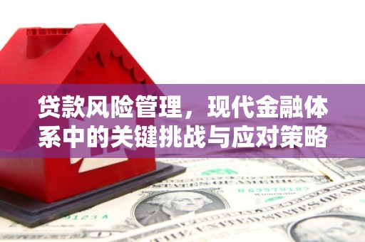 成华贷款风险管理，现代金融体系中的关键挑战与应对策略