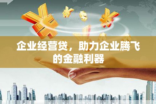 成华企业经营贷，助力企业腾飞的金融利器