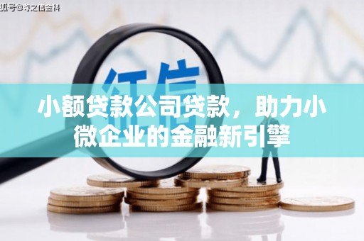 成华小额贷款公司贷款，助力小微企业的金融新引擎