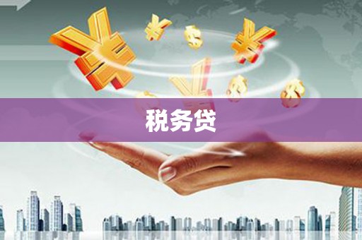 成华税务贷