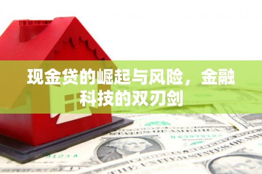 成华现金贷的崛起与风险，金融科技的双刃剑
