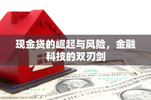 成华现金贷的崛起与风险，金融科技的双刃剑